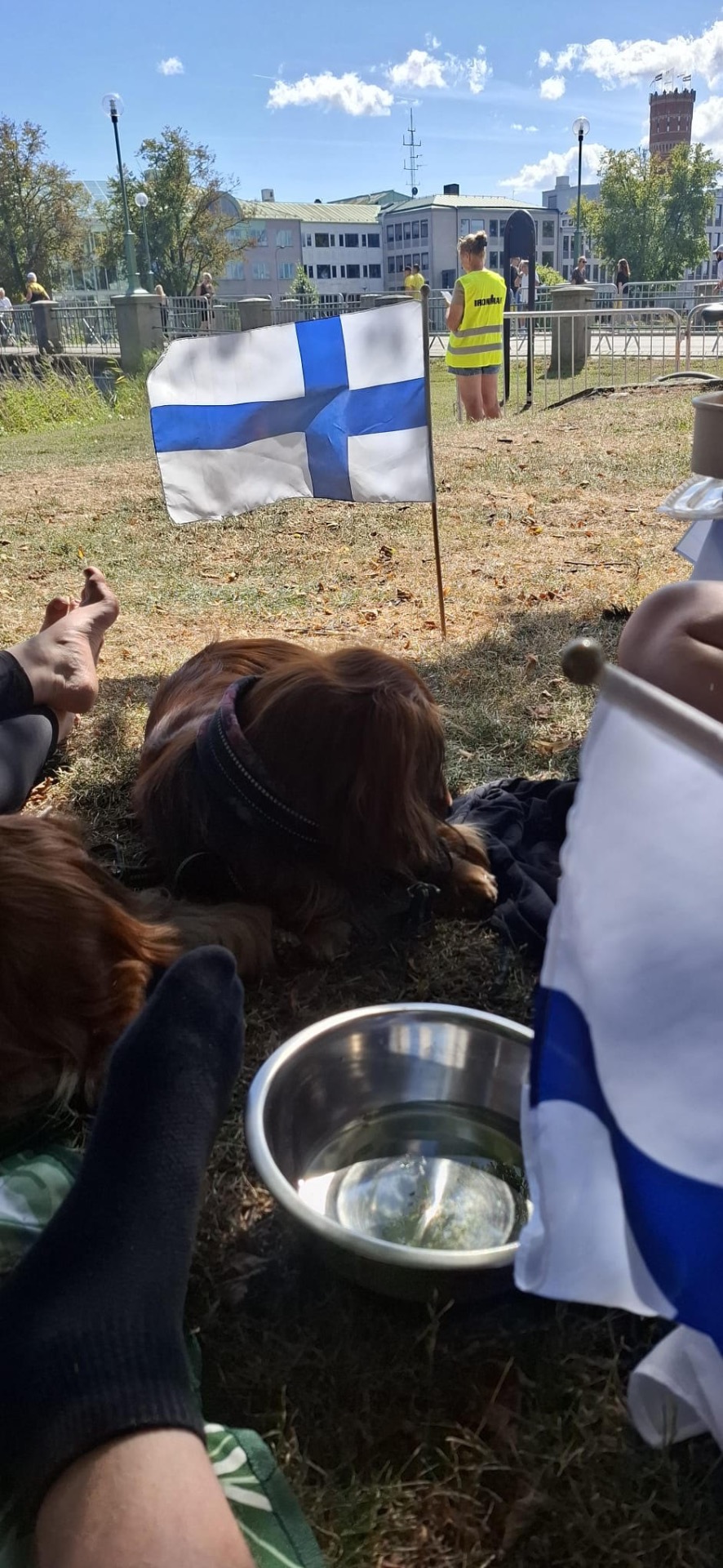 Viimeisellä juoksukierroksella täytyi kuulemma väistyä piknik-vermeiden kanssa vähän sivummalle kun juoksijat oksentelivat ja hoipertelivat lasittunein katsein sinne sun tänne